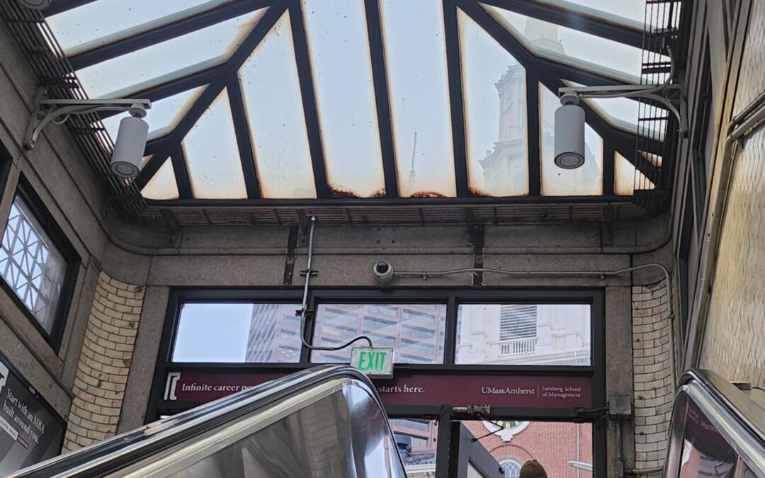 OPINION: Oppositional, Independent, and Socialist Candidates